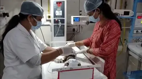 Infant Buried Alive in the Country Struggles for Her Life